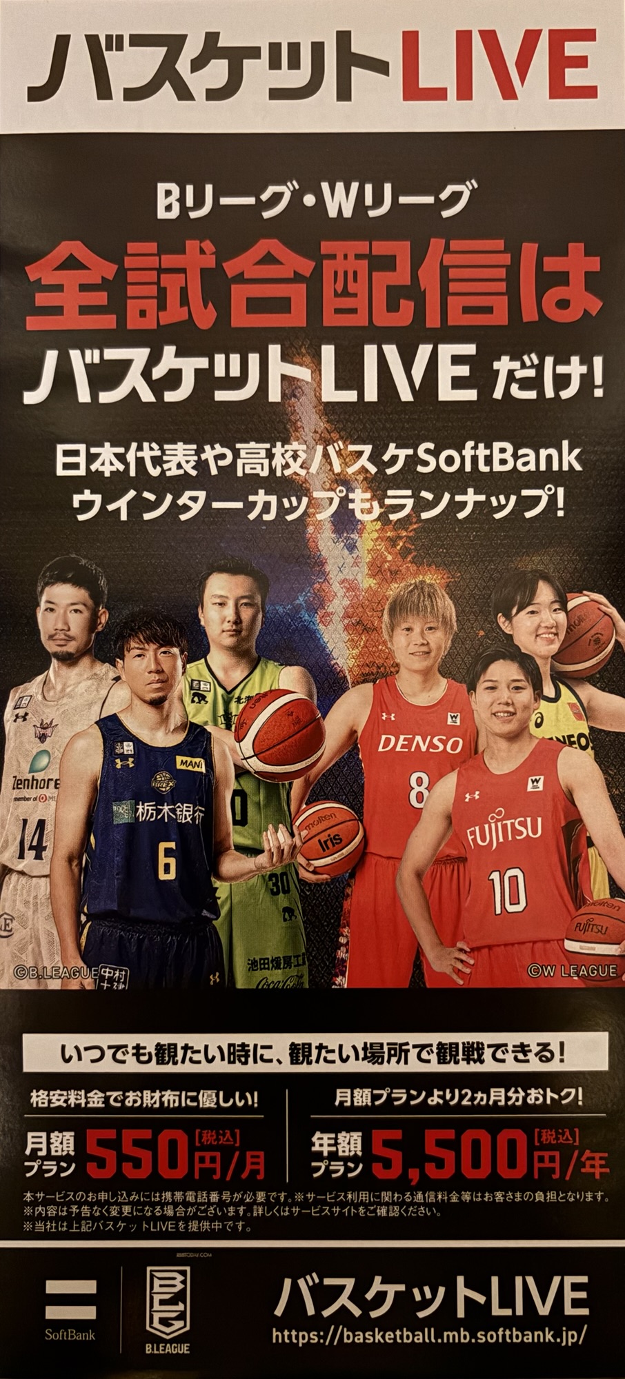 ソフトバンク株主向けに同封されたバスケットLIVE 2か月無料クーポン案内チラシ全体